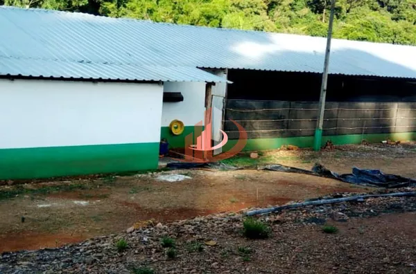 Aviário para venda, - Selecione - Bairro, Pato Branco - Foto 5