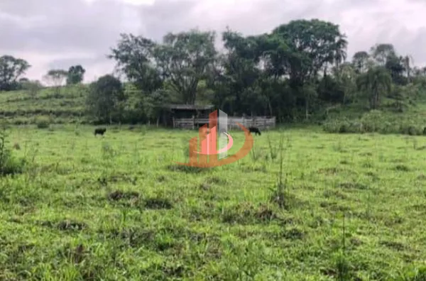 Chácara para venda, - Selecione - Bairro, Pato Branco - Foto 3