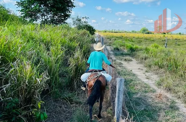FAZENDA PARA ARRENDAMENTO EM TAILÂNDIA NO PARÁ (LEIA A DESCRIÇÃO)