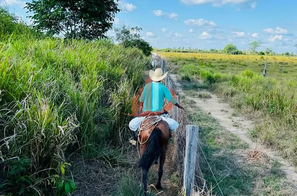 FAZENDA PARA ARRENDAMENTO EM TAILÂNDIA NO PARÁ (LEIA A DESCRIÇÃO)