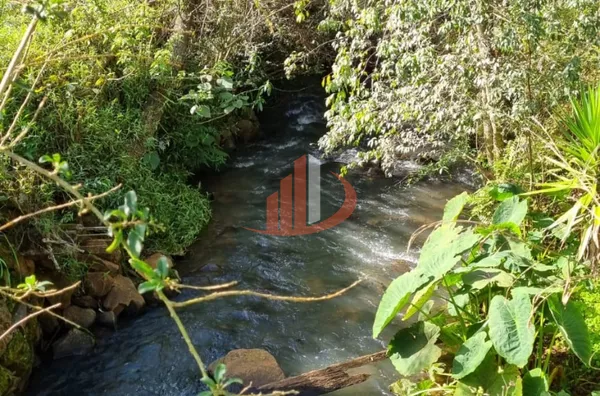 CHÁCARA COM 20 MIL m² Á VENDA EM PATO BRANCO/PR - Foto 22