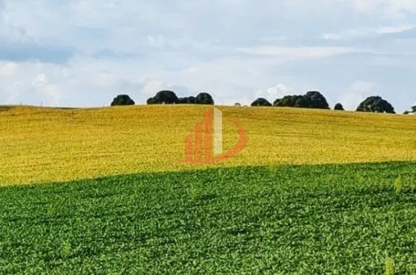 FAZENDA EM PALMAS NO PARANÁ - Foto 9