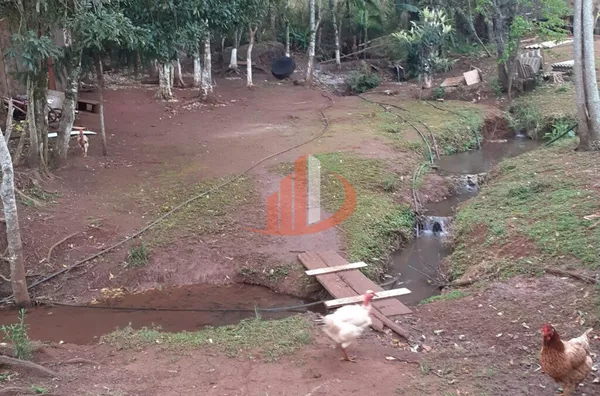 Imóveis rurais para venda, , São Lourenço Do Oeste - Foto 9