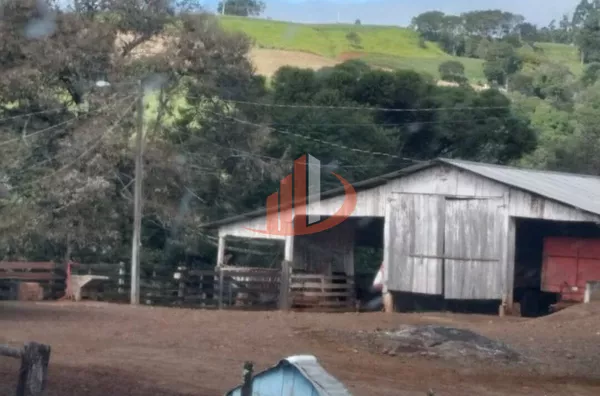 VENDE-SE FAZENDA A 13KM DA CIDADE DE GUARANIAÇU! - Foto 6