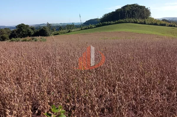 CHÁCARA COM 4 ALQUEIRES HÁ 12 KM DO CENTRO, EM PATO BRANCO/PR - Foto 39