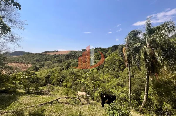 CHÁCARA COM 2,5 ALQUEIRES À VENDA EM VITORINO/PR - Foto 7