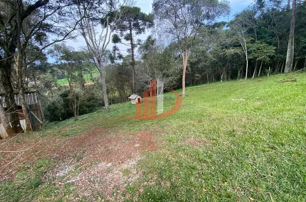 CHÁCARA COM 13.000m² À VENDA EM PATO BRANCO/PR - Foto 27