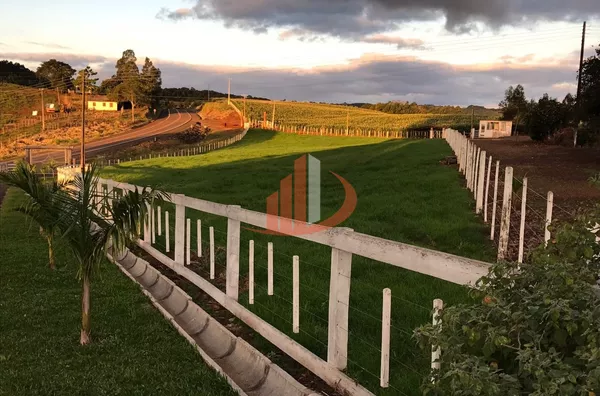 FAZENDA COM 1.234,62 HECTARES DE ALTA RENTABILIDADE! - Foto 11