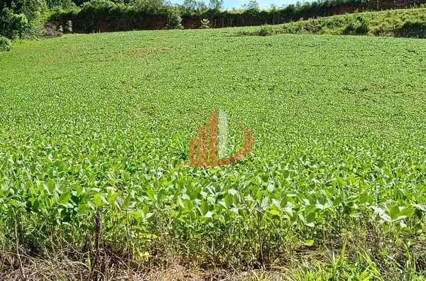 FAZENDINHA A VENDA PRÓXIMA A PATO BRANCO/PR - Foto 17