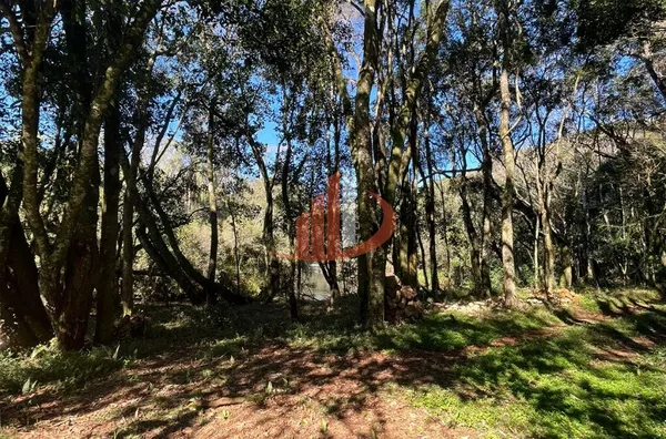 CHÁCARAS À VENDA PRÓXIMAS A PATO BRANCO/PR - Foto 15