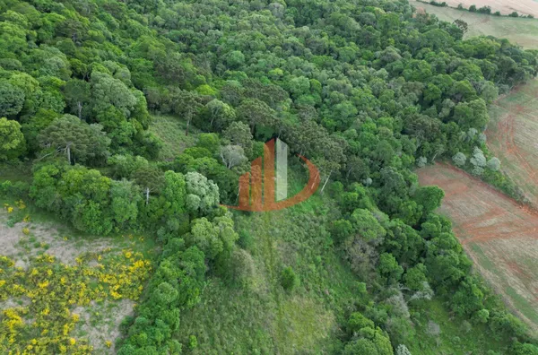 CHÁCARA COM 5 ALQUEIRES EM VITORINO/PR - Foto 8