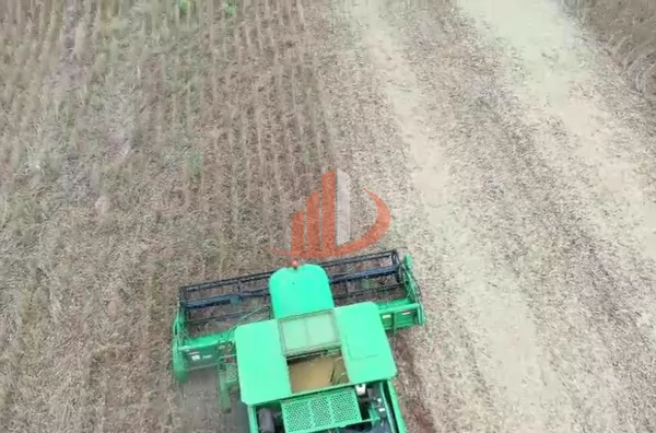 FAZENDA NO ESTADO DO TOCANTINS - Foto 7