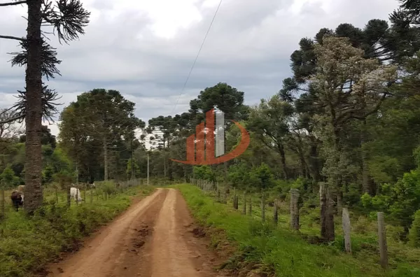 FAZENDA 200 ALQUEIRES REGIÃO SUDOESTE DO PARANÁ - Foto 13