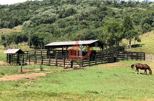FAZENDA COM 33 ALQUEIRES NO INTERIOR DO PARANÁ - Foto 14