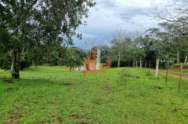 FAZENDA COM DUPLA APTIDÃO, 210 ALQUEIRES, REGIÃO CENTRO SUL DO PARANÁ - Foto 12