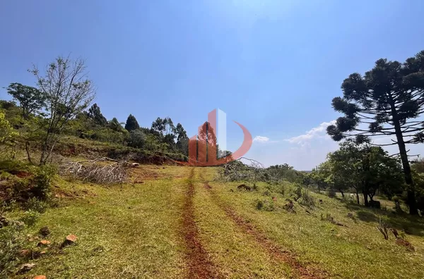 CHÁCARA COM 2,5 ALQUEIRES À VENDA EM VITORINO/PR - Foto 22