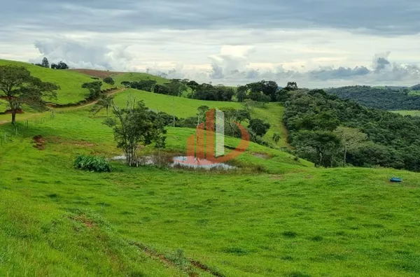 FAZENDA COM DUPLA APTIDÃO, 210 ALQUEIRES, REGIÃO CENTRO SUL DO PARANÁ - Foto 10