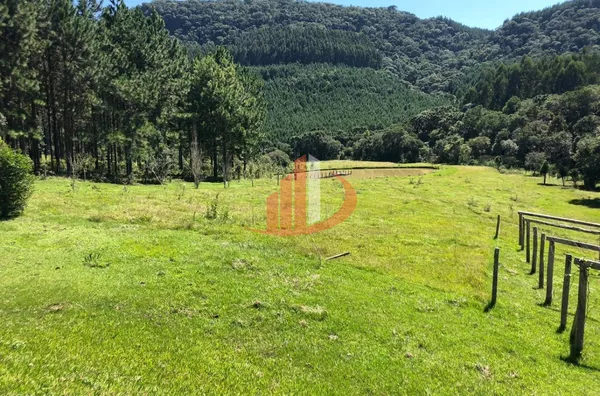 FAZENDA COM 33 ALQUEIRES NO INTERIOR DO PARANÁ - Foto 8