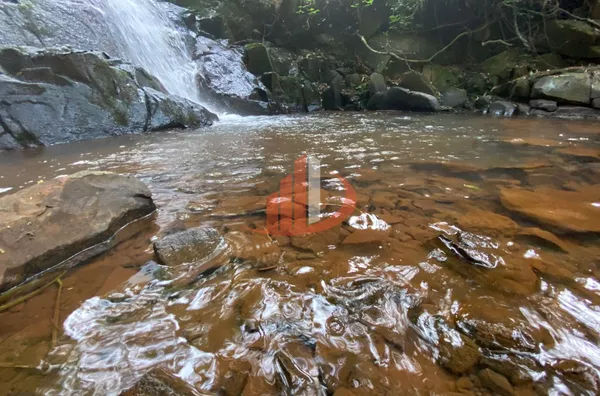CHÁCARA COM 1200m² PRÓXIMO A ÁREA URBANA EM PATO BRANCO/PR - Foto 23