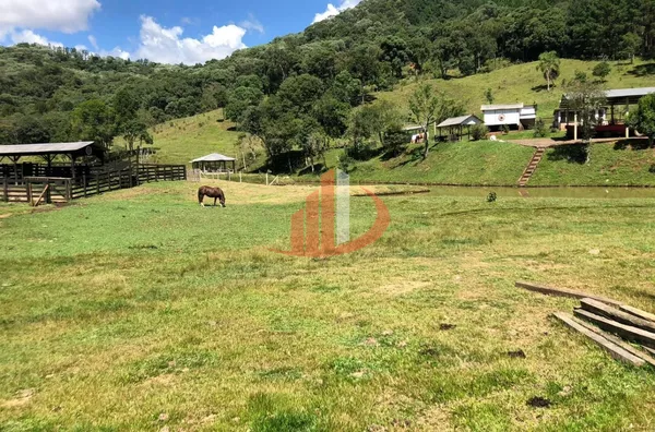 FAZENDA COM 33 ALQUEIRES NO INTERIOR DO PARANÁ - Foto 30