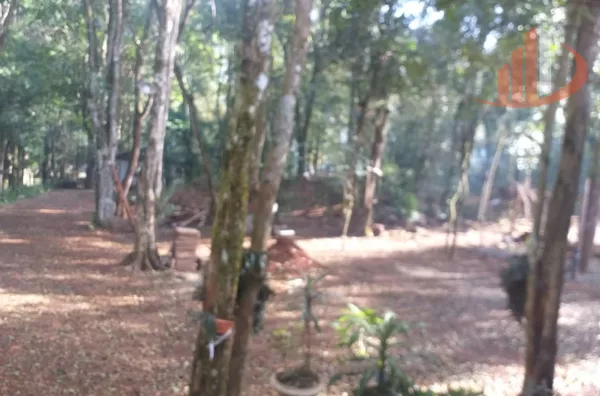 CHÁCARA COM 2000m² À VENDA EM PATO BRANCO/PR