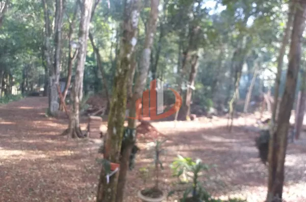 CHÁCARA COM 2000m² À VENDA EM PATO BRANCO/PR - Foto 2