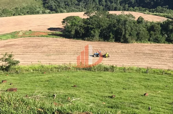 FAZENDA COM 1.234,62 HECTARES DE ALTA RENTABILIDADE! - Foto 27