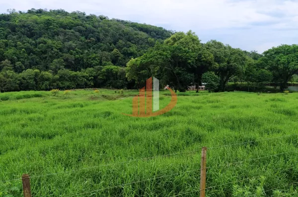 FAZENDA COM 136 ALQUEIRES EM GUARANIAÇU/PR - Foto 2