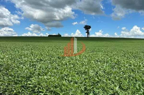 FAZENDA À VENDA EM DOURADOS/MS - Foto 11