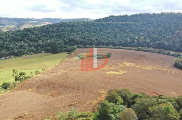 FAZENDA PRÓXIMA A PATO BRANCO PARA VENDA - Foto 24