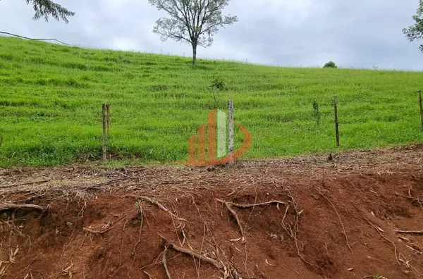 FAZENDA COM DUPLA APTIDÃO, 210 ALQUEIRES, REGIÃO CENTRO SUL DO PARANÁ - Foto 3