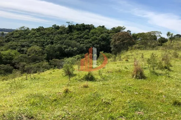 FAZENDA 211,19 ALQUEIRES EM LARANJEIRAS DO SUL/PR - Foto 7