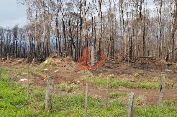 FAZENDA COM 203,5 ALQUEIRES À VENDA NO SUDOESTE DO PARANÁ. - Foto 4