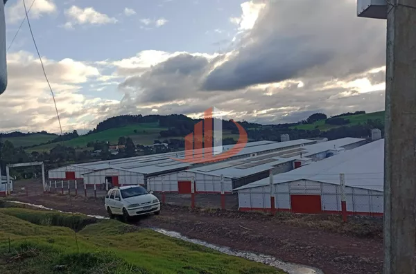 AVIÁRIOS PARA VENDA NA REGIÃO SUDOESTE DO PARANÁ 