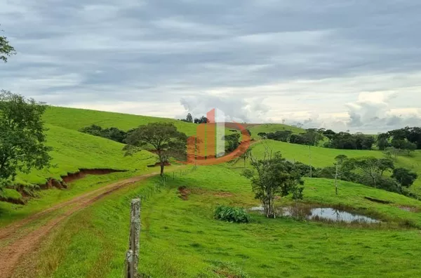 FAZENDA COM DUPLA APTIDÃO, 210 ALQUEIRES, REGIÃO CENTRO SUL DO PARANÁ - Foto 5