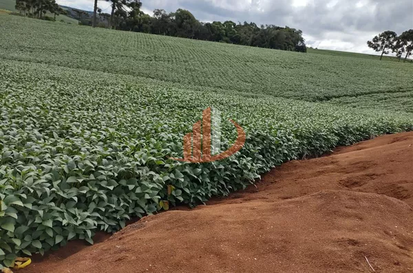 FAZENDA EM PALMAS NO PARANÁ - Foto 14
