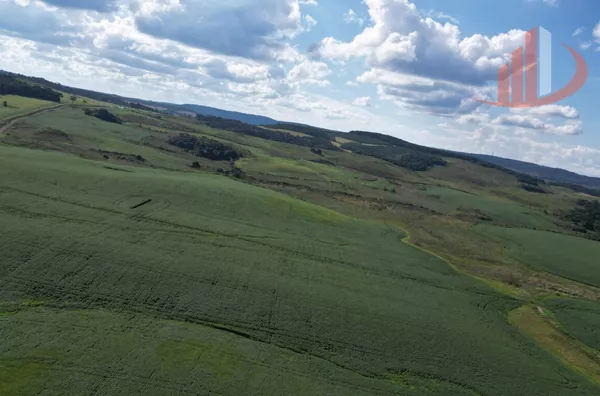 ARRENDAMENTO AGRÍCOLA DE ATÉ 200 ALQUEIRES NO SUDOESTE DO PARANÁ!