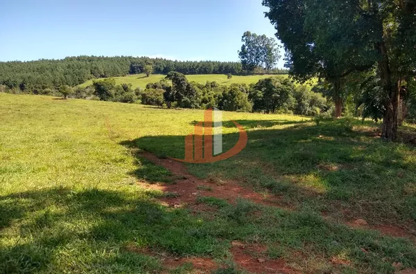 FAZENDA COM 24 ALQUEIRES EM PATO BRANCO/PR - Foto 4