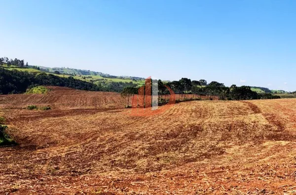 VENDE-SE UMA BELÍSSIMA ÁREA DE TERRA EM NOVA LARANJEIRAS! - Foto 10