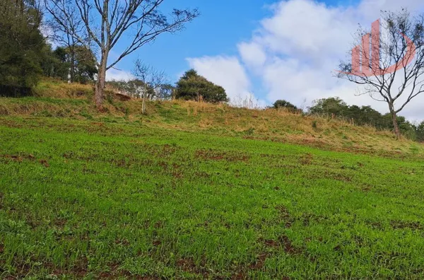 Imóveis rurais para venda,  área Rural De Pato Branco, Pato Branco
