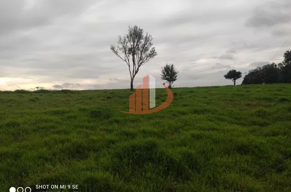 Fazenda para Venda em Campo Erê / SC no bairro Zona Rural - Foto 12