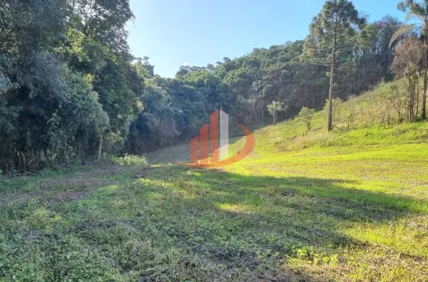 CHACARA PARA VENDA EM PATO BRANCO - Foto 6