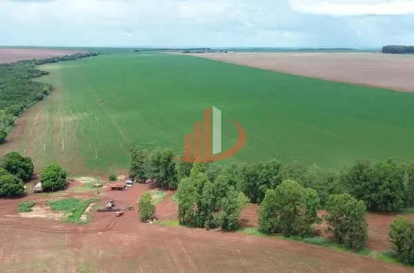 FAZENDA COM 860 HECTARES EM MATO GROSSO DO SUL - Foto 8