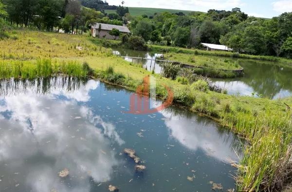 CHÁCARA DE 28 MIL m² À VENDA EM PATO BRANCO/PR - Foto 9