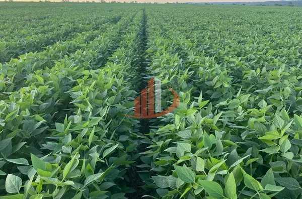 ARRENDAMENTO DE FAZENDA NO MATO GROSSO DO SUL - Foto 1