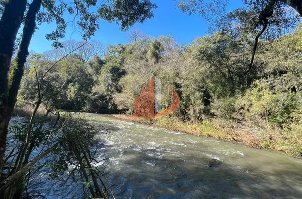 CHÁCARAS À VENDA PRÓXIMAS A PATO BRANCO/PR - Foto 6