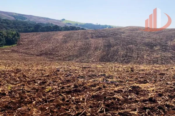 VENDE-SE UMA BELÍSSIMA ÁREA DE TERRA EM NOVA LARANJEIRAS!