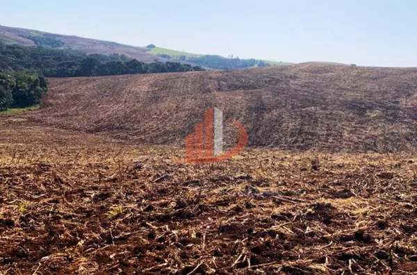 VENDE-SE UMA BELÍSSIMA ÁREA DE TERRA EM NOVA LARANJEIRAS!