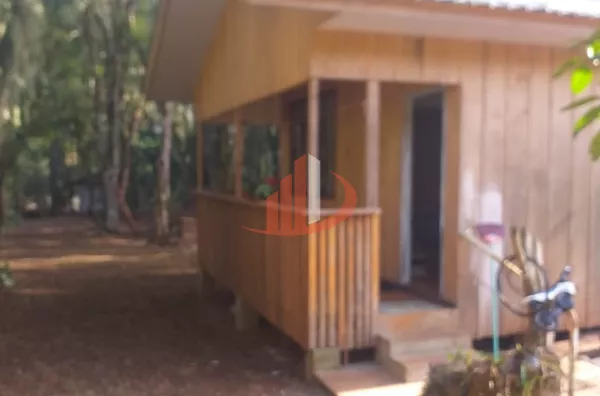 CHÁCARA COM 2000m² À VENDA EM PATO BRANCO/PR - Foto 5