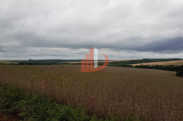 FAZENDA MODELO — OESTE DO PARANÁ - Foto 8